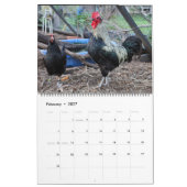 Silverudds Blue Chickens Kalender (Feb 2027)