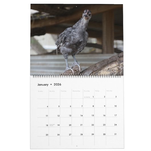 Silverudds Blue Chickens Kalender (Jan 2026)