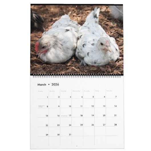 Silverudds Blue Chickens Kalender (Mar 2026)