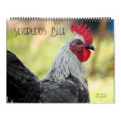 Silverudds Blue Chickens Kalender (Hoes)