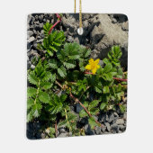 Silverweed Cinquefoil Keramisch Ornament (Rechts)