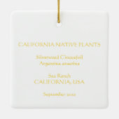 Silverweed Cinquefoil Keramisch Ornament (Achterkant)