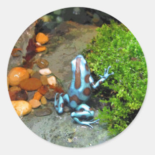 Silvery Blue Dart Frog CB Ronde Sticker