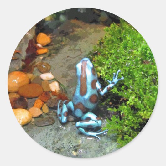 Silvery Blue Dart Frog CB Ronde Sticker (Voorkant)