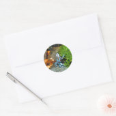 Silvery Blue Dart Frog CB Ronde Sticker (Envelop)