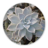 Silvery Blue Succulent Botanical Photographic Keramische Knop (Voorkant)