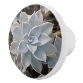 Silvery Blue Succulent Botanical Photographic Keramische Knop (Rechts)