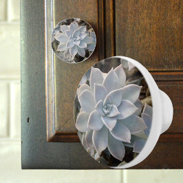 Silvery Blue Succulent Botanical Photographic Keramische Knop