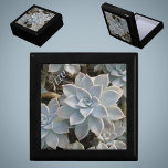 Silvery Blue Succulents Botanical Wooden Keepomwil Cadeaudoosje<br><div class="desc">Silvery blue en green Echeveria succulents met hints van roze en donkere schaduwen zijn te vinden op deze prachtige,  elegante houten cadeaudoos. Het is verfijnd en mooi en een geschenk dat je kunt waarderen met persoonlijke initialen. Dit afbeelding is een originele botanische foto van JLW_FOTOGRAPHY</div>