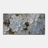 Silvery Blue Succulents Botanische Fotografische Bureaumat (Voorkant)