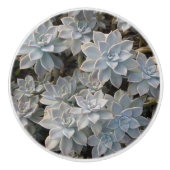 Silvery Blue Succulents Botanische Fotografische Keramische Knop (Voorkant)