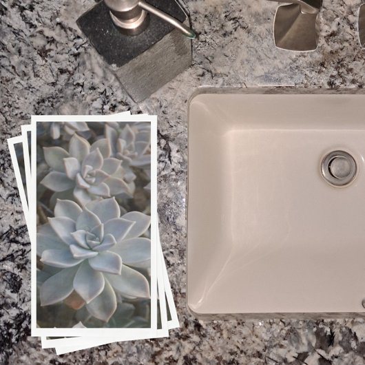 Silvery Blue Succulents Paper Guest Towels Servet