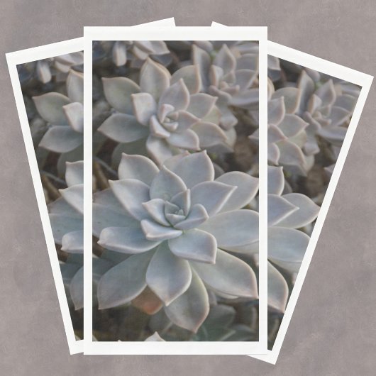 Silvery Blue Succulents Paper Guest Towels Servet
