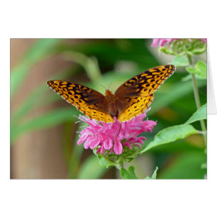 Silvery Checkerspot Butterfly