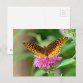 Silvery Checkerspot Butterfly Briefkaart (Voorkant / Achterkant)