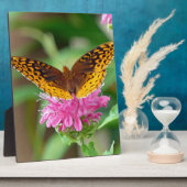 Silvery Checkerspot Butterfly Fotoplaat (Zijkant)