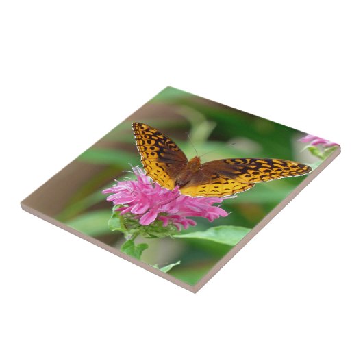 Silvery Checkerspot Butterfly Tegeltje (Zijkant)