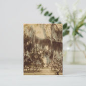 Silvery Draperies of Daytona Briefkaart (Staand voorkant)