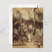 Silvery Draperies of Daytona Briefkaart (Voorkant / Achterkant)