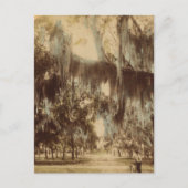 Silvery Draperies of Daytona Briefkaart (Voorkant)