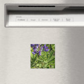Silvery Lupine Magnet (Insitu (Vaatwasser))