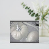 Silvery Tomaten Briefkaart (Staand voorkant)