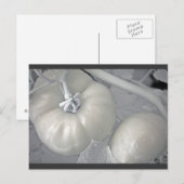 Silvery Tomaten Briefkaart (Voorkant / Achterkant)