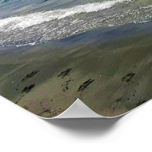 Simax Bay bij het meer van Crescent, Oregon Poster (Hoek)