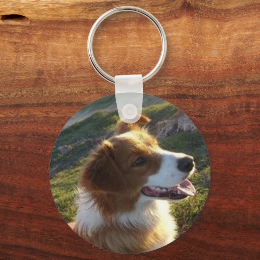 Simba Sleutelhanger (Voorkant)