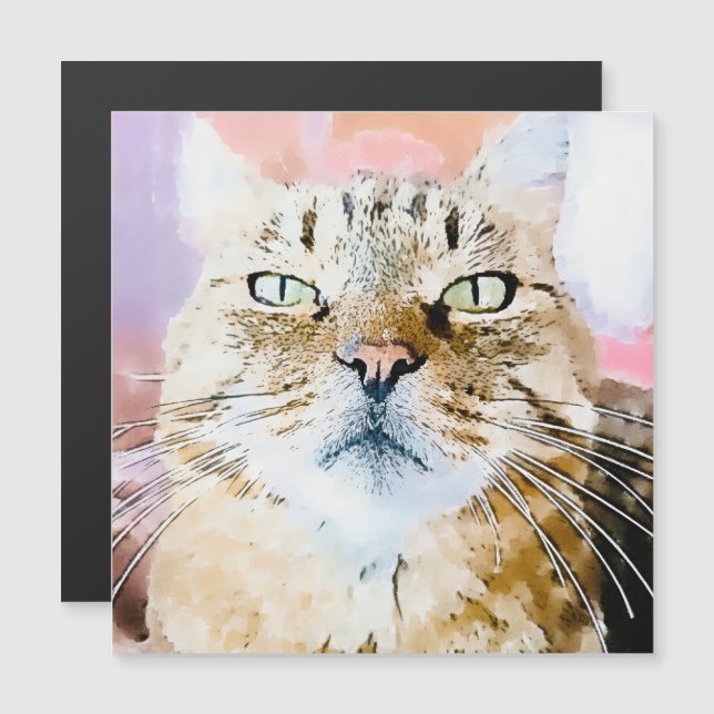 Simba the Striped King (Voorkant / Achterkant)