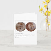 SIMBA VERJAARDAG KAART (Gele Bloem)