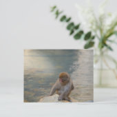 Simian Serenity aan de kust Briefkaart (Staand voorkant)