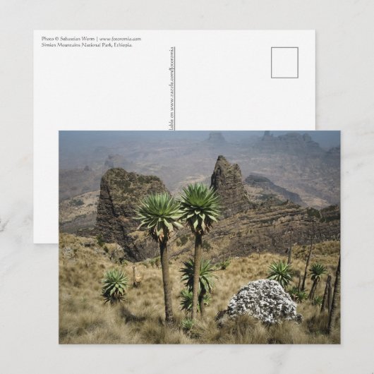 Simien Mountains Ethiopië Briefkaart (Voorkant / Achterkant)