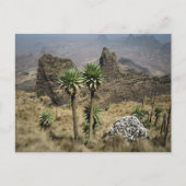Simien Mountains Ethiopië Briefkaart (Voorkant)