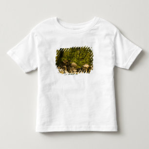 Similan-eilanden, Marine National Park nabij Kinder Shirts