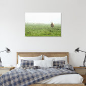 Simmental Bull in mistig groen weiland Canvas Afdruk (Insitu (Slaapkamer))
