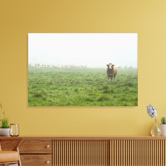 Simmental Bull in mistig groen weiland Canvas Afdruk (Insitu (Woonkamer))