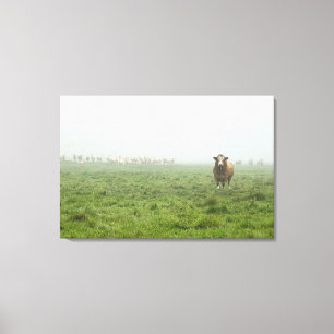 Simmental Bull in mistig groen weiland Canvas Afdruk