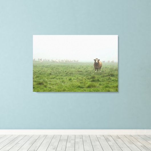 Simmental Bull in mistig groen weiland Canvas Afdruk (Insitu (Houten vloer))