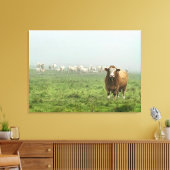 Simmental Bull in mistig weiland Canvas Afdruk (Insitu (Woonkamer))