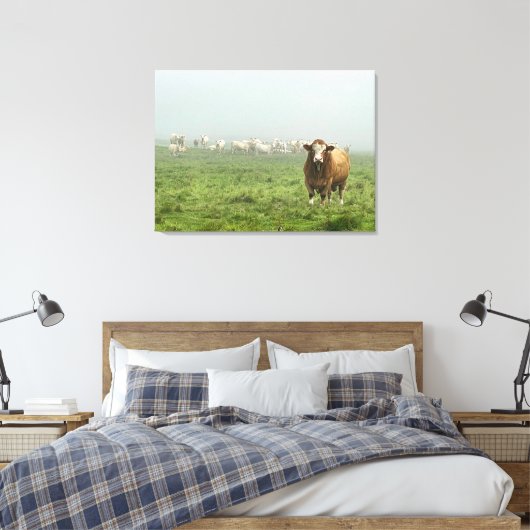 Simmental Bull in mistig weiland Canvas Afdruk (Insitu (Slaapkamer))