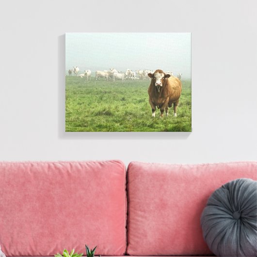 Simmental Bull in Pasture Canvas Afdruk (Insitu (Woonkamer))