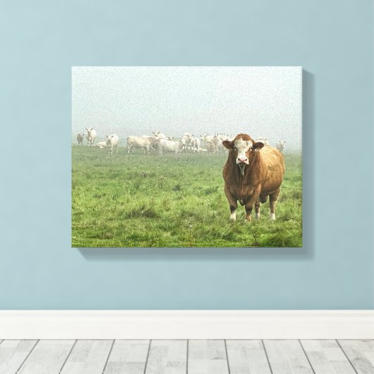 Simmental Bull in Pasture Canvas Afdruk (Insitu (Houten vloer))