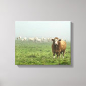 Simmental Bull in Pasture Canvas Afdruk (Voorkant)