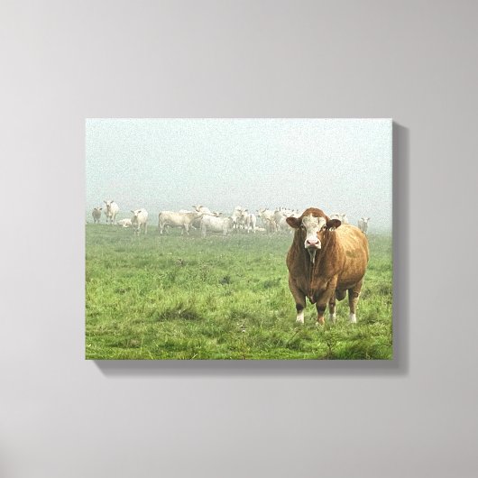 Simmental Bull in Pasture Canvas Afdruk (Voorkant)