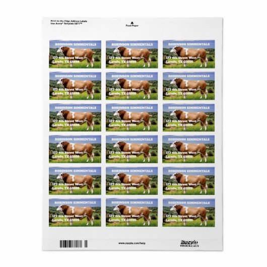 Simmental Bull in Pasture Etiket (Full Sheet)