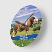 Simmental Bull in Pasture Ronde Klok (Hoek)