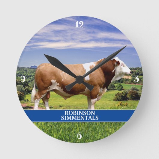 Simmental Bull in Pasture Ronde Klok (Voorkant)