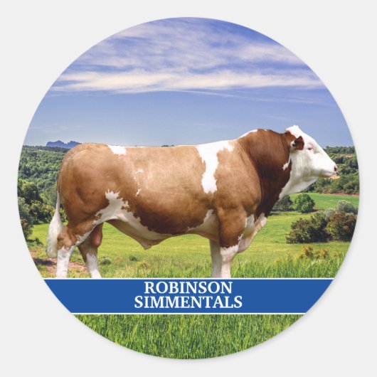 Simmental Bull in Pasture Ronde Sticker (Voorkant)
