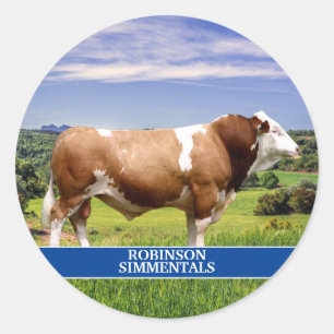 Simmental Bull in Pasture Ronde Sticker